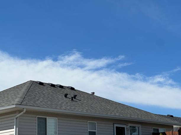 Professional Roofing Service in North York, PA